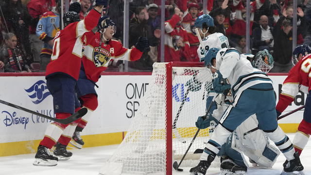 Sharks Panthers Hockey 