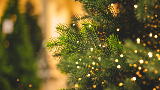 Christmas tree background 